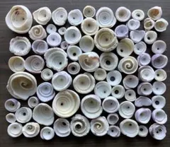 なつ様 リクエスト 3点 まとめ商品