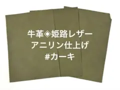 Item thumbnail for item 253da8c5-0182-40e4-a935-e96275ec234e