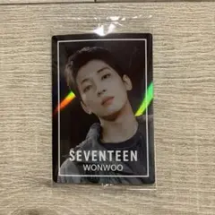 SEVENTEEN ウエハース ウォヌ