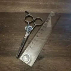 Item thumbnail for item 55b32171-5205-4181-994e-b4048f02c5f2