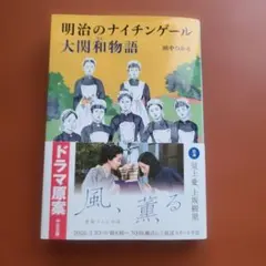 明治のナイチンゲール 大関和物語のサムネイル