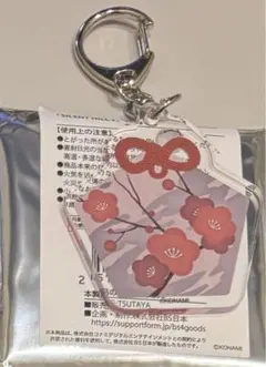 Item thumbnail for item 8a5e29cc-166d-4947-a4b5-c8058cdbcdbd