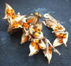 chiko様 リクエスト 2点 まとめ商品