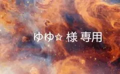 ゆゆ✩ 様 専用