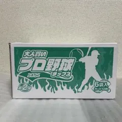 未開封　大人買い　プロ野球チップス　2025