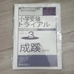 Item thumbnail for item 553d6ef7-60a2-4902-b7bf-5a9362fc0ce9