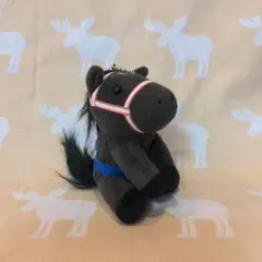 2025年最新】アイドルホースセレクションの人気アイテム - メルカリ