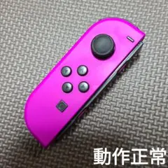 Nintendo Switch　ジョイコン　パープル