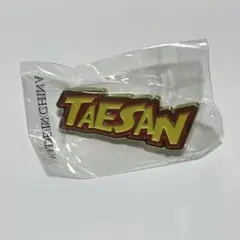 BOYNEXTDOOR TAESAN 会場限定　カプセルトイ　テサン　ピンバッチ