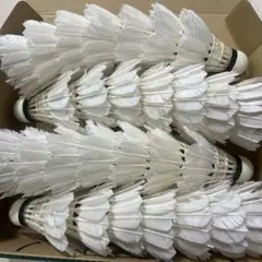 2025年最新】ヨネックスエアロセンサ500の人気アイテム - メルカリ