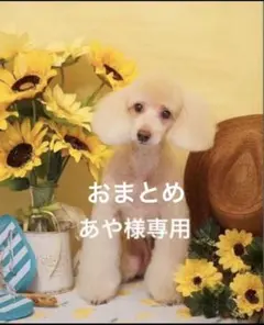 あや様 リクエスト 2点 まとめ商品