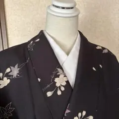 紗袷の着物単衣の時期憧れのお洒落 - メルカリ
