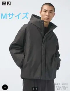 Item thumbnail for item c1f3ae70-c309-48c6-8eeb-9470cff59ee7