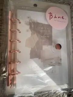 Item thumbnail for item 22901889-68ea-4a96-9193-f409d502bf18