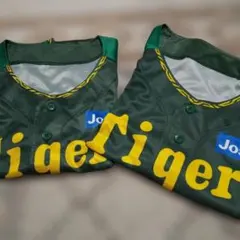 Item thumbnail for item 31f3ba46-dd35-4fc6-99ec-87851b42c3d4