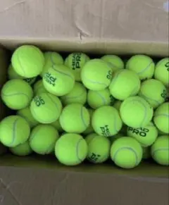 Item thumbnail for item f525028d-1d08-4893-b7eb-8fafe090e25b