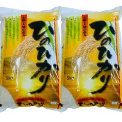 お米 つやつや ヒノヒカリ 5kg×4 計20kg 農家直送 100%単一原料米
