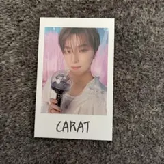 セブチ インスタントフォト ディノ