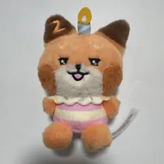ZEROBASEONE zeroni ゼロニ POPUP テュニニ