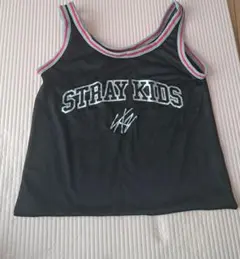 Stray Kids　 エコバッグ　(アプグレ品)