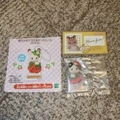 Item thumbnail for item b3f71f4f-af5a-4753-80e3-2e7e82170a09