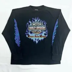 2025年最新】ハーレー ロンt フレイムの人気アイテム - メルカリ