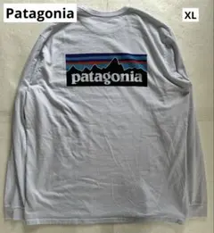 【完売色】パタゴニア ロングスリーブ・P6ロゴ・レスポンシビリティー 水色 XL