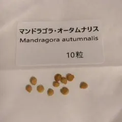 トンカツ様おまとめのサムネイル