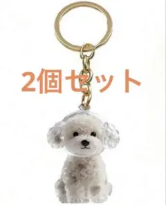 Item thumbnail for item add5d097-472d-4aa3-bece-b61c48d932dd