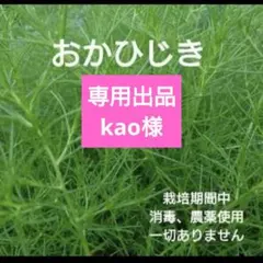 専用出品 kao様のサムネイル