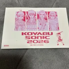 コヤブソニック キングダム ステッカー KOYABU SONIC 2026