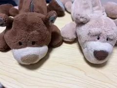 NICI筆箱2点セット