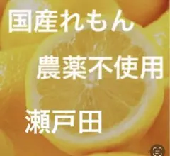 47.国産瀬戸田レモンのサムネイル