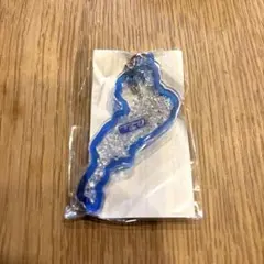 琵琶湖　びわこ　BIWAKO アクリルキーホルダー　滋賀レイクス