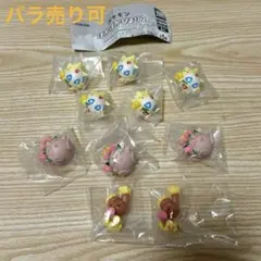 ポケモン ぽかぽかびより2 10個セット