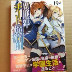 異世界チート魔術師(19)