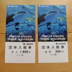名古屋港水族館 団体入館券 大人・幼児セットのサムネイル
