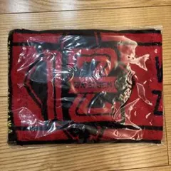 未開封　ツエーゲン金沢　タオルマフラー
