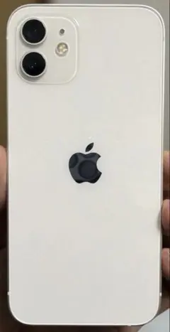 Apple iPhone 12 64GB ホワイト　本体SIM フリー美品