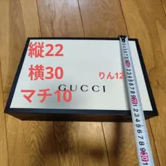 紙袋　ショッパー　エコバッグ　ギフト　プレゼント　ラッピング　GUCCI　グッチ
