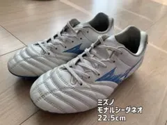 ミズノ モナルシーダネオ 22.5cm