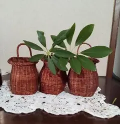 可愛いバスケット　小ぶりサイズ　3個セット