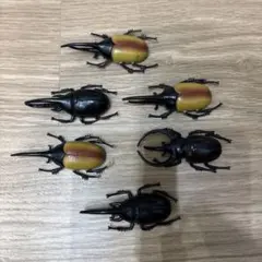 リアル昆虫模型 6体セット