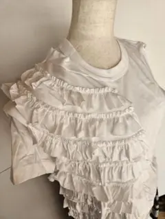 今季コムデギャルソンnoir kei ninomiya フリルTシャツSホワイト Narrenschiff:noir kei ninomiya今後のスケジュールと、袖