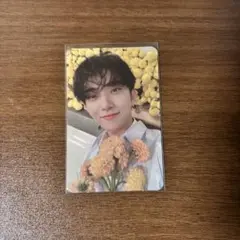 セブチ ジョシュア your choice トレカ