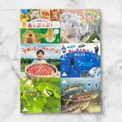 2025年最新】サンチャイルド・ビッグサイエンス セットの人気