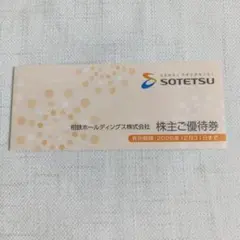 【最新】相鉄ホールディングス　株主優待券のサムネイル