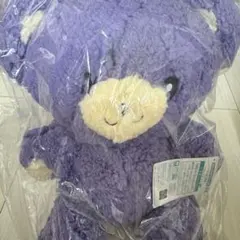 クールドジ男子 こぐまのぬいぐるみ vol.2 五十嵐元晴