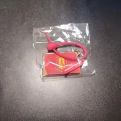 名古屋グランパス 応援グッズ キーホルダー