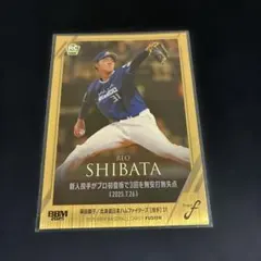 柴田獅子 RCカード 31/200 2025bbm FUSION